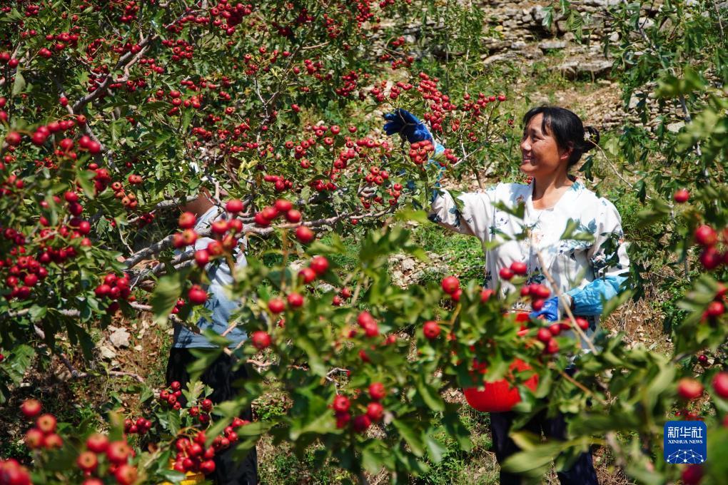 免费送彩金彩票网